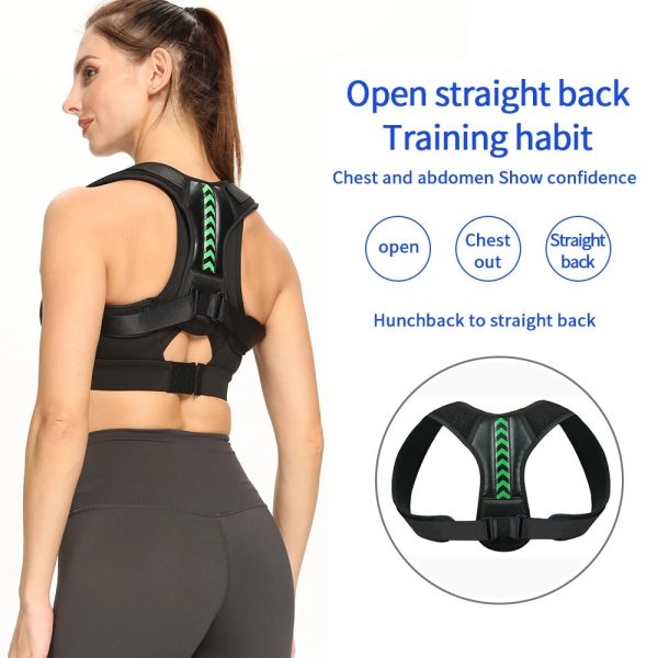 Ergonomic Posture Support Belt Ergonomic Posture Support Belt