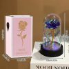 Eternal Galaxy Rose with LED Lights Romantic Gift for Valentine’s Day and Wedding Eternal Galaxy Rose with LED Lights Romantic Gift for Valentine’s Day and Wedding