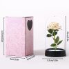 Eternal Galaxy Rose with LED Lights Romantic Gift for Valentine’s Day and Wedding Eternal Galaxy Rose with LED Lights Romantic Gift for Valentine’s Day and Wedding