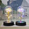 Eternal LED Rose in Glass Dome for Valentine's Day, Wedding, and Romantic Gifts