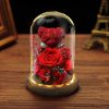 Eternal Preserved Rose Teddy Bear Gift Box with Lights Eternal Preserved Rose Teddy Bear Gift Box with Lights