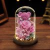 Eternal Preserved Rose Teddy Bear Gift Box with Lights Eternal Preserved Rose Teddy Bear Gift Box with Lights