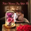 Eternal Preserved Rose Teddy Bear Gift Box with Lights Eternal Preserved Rose Teddy Bear Gift Box with Lights
