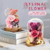 Eternal Preserved Rose Teddy Bear Gift Box with Lights Eternal Preserved Rose Teddy Bear Gift Box with Lights