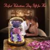 Eternal Preserved Rose Teddy Bear Gift Box with Lights Eternal Preserved Rose Teddy Bear Gift Box with Lights