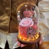 Eternal Preserved Rose Teddy Bear Gift Box with Lights Eternal Preserved Rose Teddy Bear Gift Box with Lights