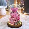 Eternal Preserved Rose Teddy Bear Gift Box with Lights Eternal Preserved Rose Teddy Bear Gift Box with Lights