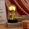 Eternal Rose in Glass Dome Decorative Flower Gift for Girlfriend Eternal Rose in Glass Dome Decorative Flower Gift for Girlfriend
