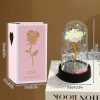 Eternal Rose in Glass Dome Decorative Flower Gift for Girlfriend Eternal Rose in Glass Dome Decorative Flower Gift for Girlfriend