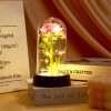 Eternal Rose in Glass Dome Decorative Flower Gift for Girlfriend Eternal Rose in Glass Dome Decorative Flower Gift for Girlfriend