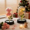 Eternal Rose in Glass Dome Decorative Flower Gift for Girlfriend Eternal Rose in Glass Dome Decorative Flower Gift for Girlfriend