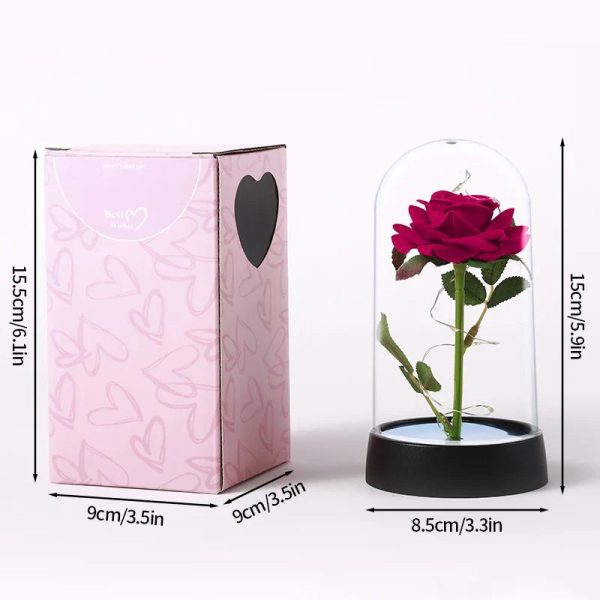 Eternal Rose in Glass Dome Decorative Flower Gift for Girlfriend Eternal Rose in Glass Dome Decorative Flower Gift for Girlfriend