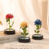 Eternal Rose in Glass Dome Decorative Flower Gift for Girlfriend Eternal Rose in Glass Dome Decorative Flower Gift for Girlfriend