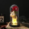 Eternal Rose in Glass Dome Decorative Flower Gift for Girlfriend Eternal Rose in Glass Dome Decorative Flower Gift for Girlfriend