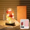 Eternal Rose in Glass Dome Decorative Flower Gift for Girlfriend Eternal Rose in Glass Dome Decorative Flower Gift for Girlfriend