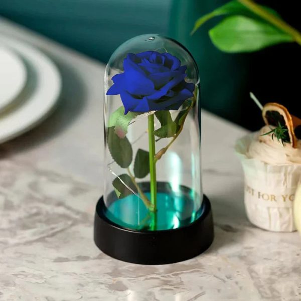 Eternal Rose in Glass Dome Decorative Flower Gift for Girlfriend Eternal Rose in Glass Dome Decorative Flower Gift for Girlfriend