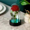 Eternal Rose in Glass Dome Decorative Flower Gift for Girlfriend Eternal Rose in Glass Dome Decorative Flower Gift for Girlfriend