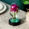 Eternal Rose in Glass Dome Decorative Flower Gift for Girlfriend Eternal Rose in Glass Dome Decorative Flower Gift for Girlfriend
