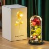 Eternal Rose in Glass Dome Decorative Flower Gift for Girlfriend Eternal Rose in Glass Dome Decorative Flower Gift for Girlfriend