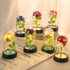 Eternal Rose in Glass Dome Decorative Flower Gift for Girlfriend Eternal Rose in Glass Dome Decorative Flower Gift for Girlfriend