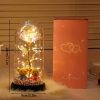 Eternal Rose in Glass Dome Handmade Artificial Flower for Gifts and Decoration