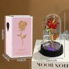 Eternal Rose in Glass Dome Handmade Artificial Flower for Gifts and Decoration