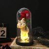 Eternal Rose in Glass Dome with Bear Gift for Special Occasions