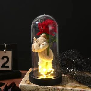 Eternal Rose in Glass Dome with Bear Gift for Special Occasions