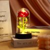Eternal Rose in Glass Dome with LED Light – Romantic Gift for Valentine’s Day, Christmas, or Birthday Eternal Rose in Glass Dome with LED Light – Romantic Gift for Valentine’s Day, Christmas, or Birthday
