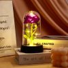 Eternal Rose in Glass Dome with LED Light – Romantic Gift for Valentine’s Day, Christmas, or Birthday Eternal Rose in Glass Dome with LED Light – Romantic Gift for Valentine’s Day, Christmas, or Birthday