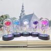 Eternal Rose Lamp LED Artificial Silk Flower Creative Gift for Valentine’s Day and Mother’s Day Eternal Rose Lamp LED Artificial Silk Flower Creative Gift for Valentine’s Day and Mother’s Day