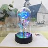 Eternal Rose Lamp LED Artificial Silk Flower Creative Gift for Valentine’s Day and Mother’s Day Eternal Rose Lamp LED Artificial Silk Flower Creative Gift for Valentine’s Day and Mother’s Day