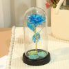 Eternal Rose LED Glass Flower Display
