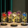 Eternal Rose LED Glass Flower Display