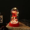 Eternal Rose LED Light in Glass Dome for Valentine's Day and Special Gifts