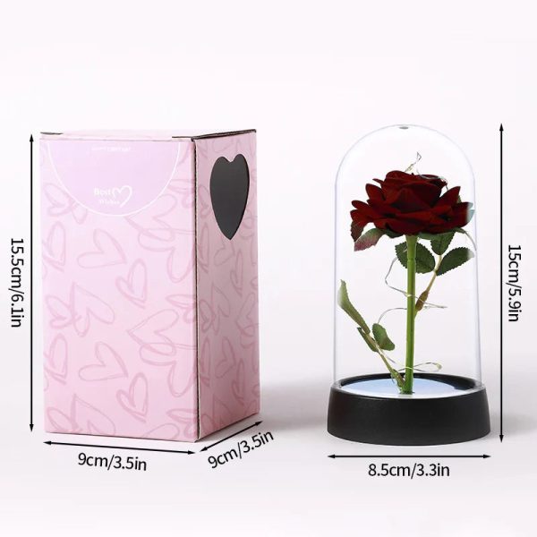 Eternal Rose LED Light in Glass Dome for Valentine's Day and Special Gifts