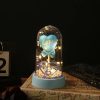 Eternal Rose LED Light with Acrylic Cover Romantic Desktop Flower Decoration Eternal Rose LED Light with Acrylic Cover Romantic Desktop Flower Decoration