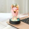 Everlasting Rose LED Glass Dome Bouquet Romantic Decorative Ornament for Valentine’s Day and Home