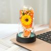 Everlasting Rose LED Glass Dome Bouquet Everlasting Rose LED Glass Dome Bouquet