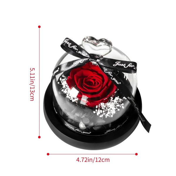 Forever Preserved Rose in Heart Glass Dome with LED Light for Valentine and Special Occasions Forever Preserved Rose in Heart Glass Dome with LED Light for Valentine and Special Occasions