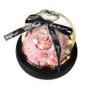 Forever Preserved Rose in Heart Glass Dome with LED Light for Valentine and Special Occasions Forever Preserved Rose in Heart Glass Dome with LED Light for Valentine and Special Occasions