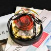 Forever Preserved Rose in Heart Glass Dome with LED Light for Valentine and Special Occasions Forever Preserved Rose in Heart Glass Dome with LED Light for Valentine and Special Occasions