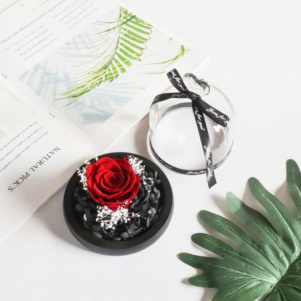 Forever Preserved Rose in Heart Glass Dome with LED Light for Valentine and Special Occasions Forever Preserved Rose in Heart Glass Dome with LED Light for Valentine and Special Occasions