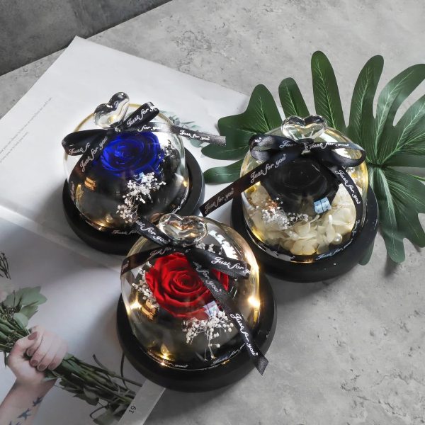 Forever Preserved Rose in Heart Glass Dome with LED Light for Valentine and Special Occasions Forever Preserved Rose in Heart Glass Dome with LED Light for Valentine and Special Occasions