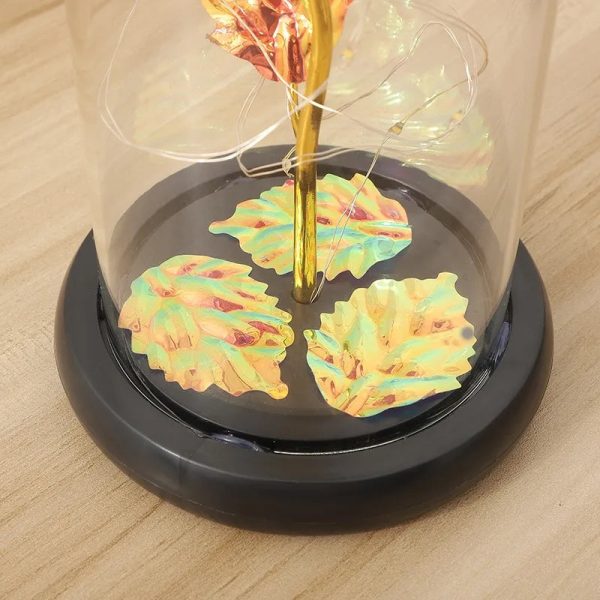 Galaxy Eternal Rose in Dome with LED Lights – Romantic Gift for Valentine’s Day, Mother’s Day, Wedding