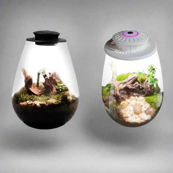 Glass Plant Terrarium With Grow Light