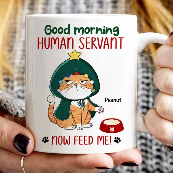 Good Morning Human Servant Now Feed Me Funny Cat Expression Personalized Mug