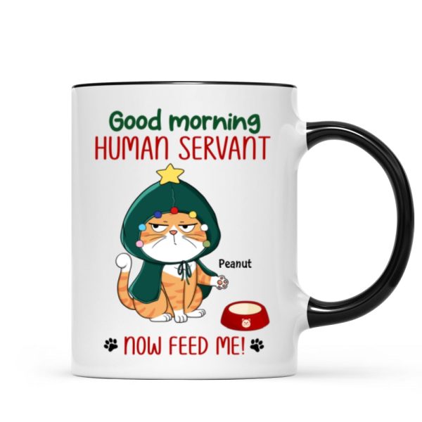 Good Morning Human Servant Now Feed Me Funny Cat Expression Personalized Mug