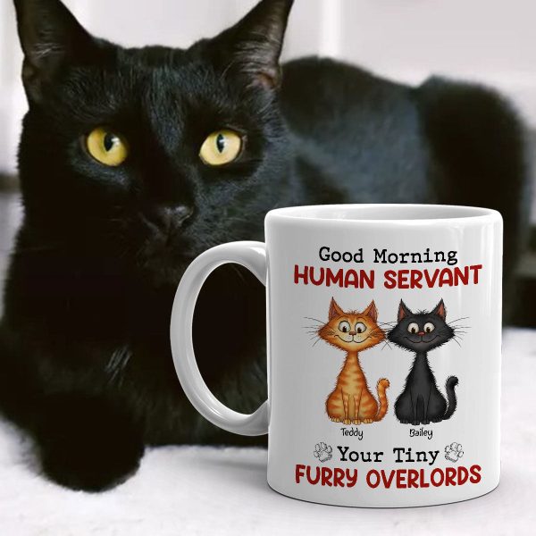 Good Morning Human Servant Quirky Cats Personalized Mug