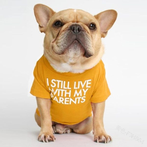 I Still Live With My Parents Dog Shirt